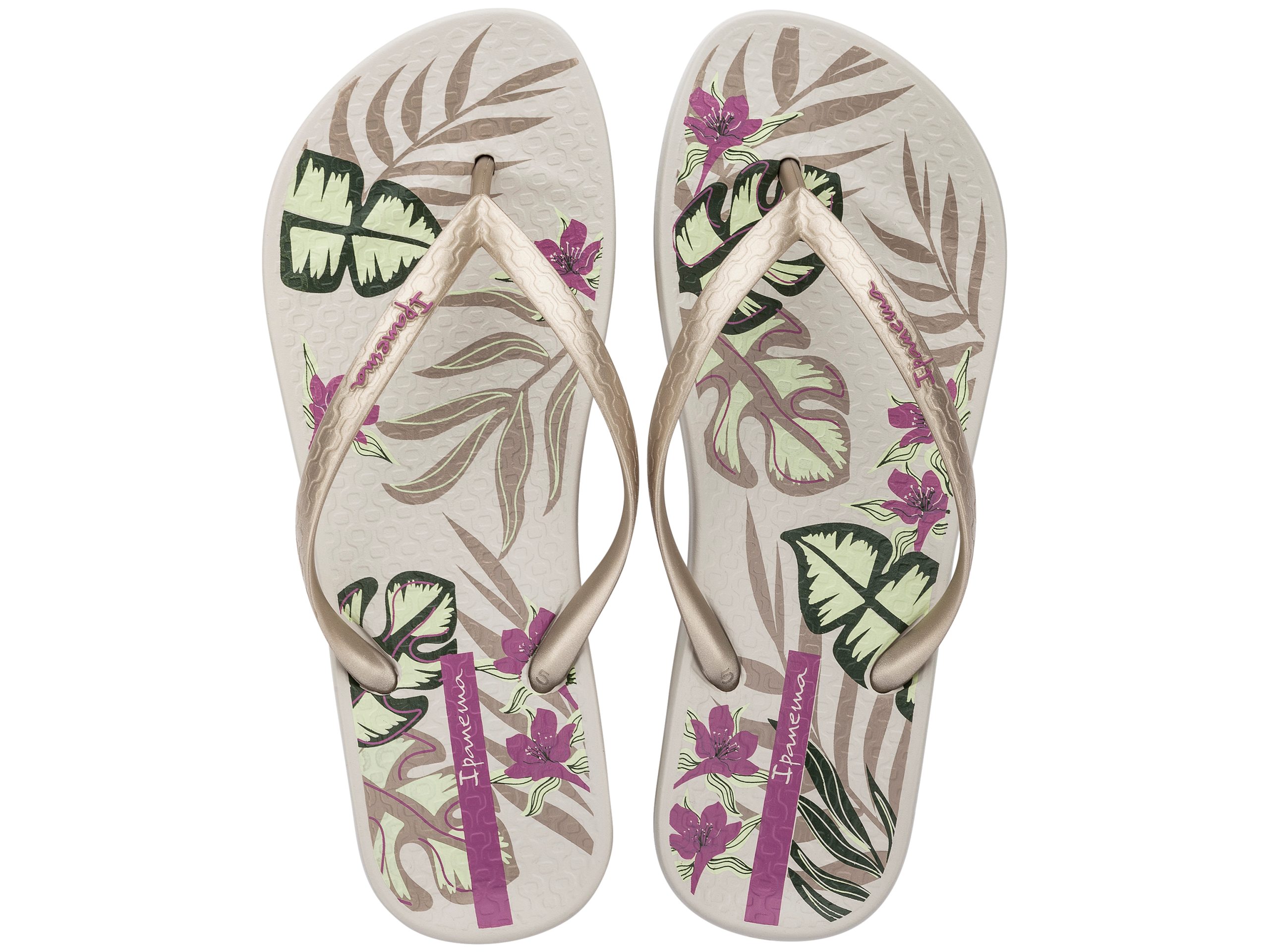 Ipanema Anatomic Temas Fem